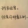 我的团长我的团
